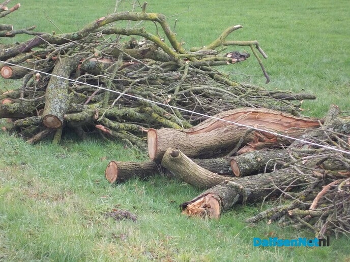 Opruimen restant stormschade