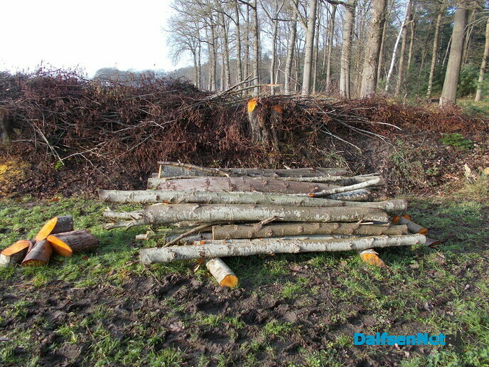 Zo maar even de natuur in