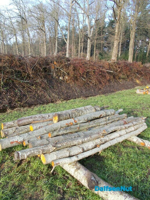 Zo maar even de natuur in