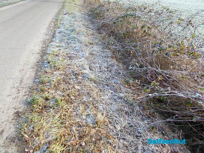 Winter (achtig)