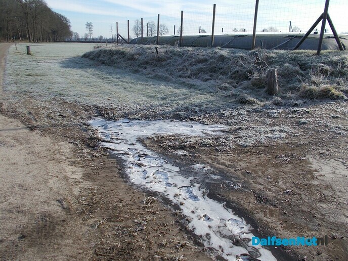 Winter (achtig)