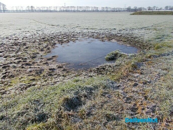 Winter (achtig)