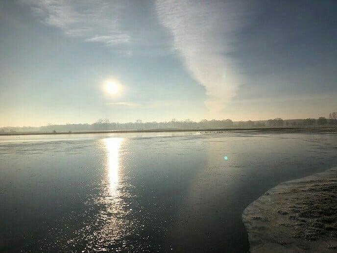 Nog een paar natuurfoto’s - Foto: Ingezonden foto