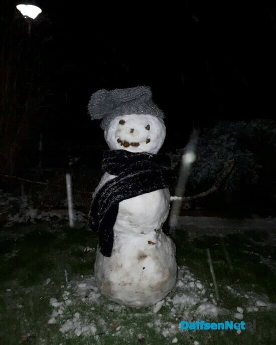 Sneeuwpop - Foto: Ingezonden foto
