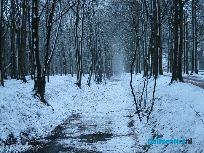 Dit was de winter 2021 (tot nu toe) - Foto: Wim