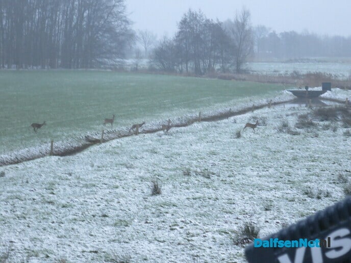 Dit was de winter 2021 (tot nu toe) - Foto: Wim