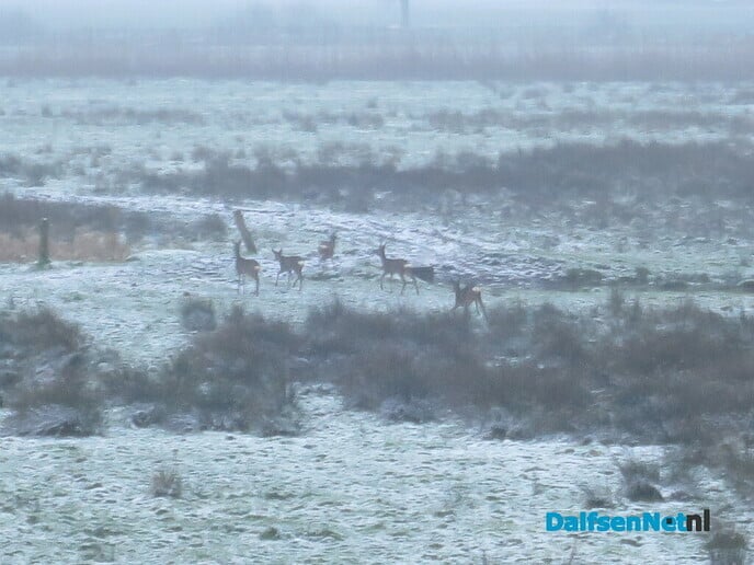 Dit was de winter 2021 (tot nu toe) - Foto: Wim