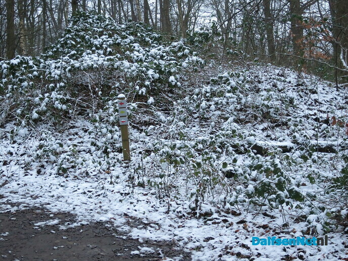 Dit was de winter 2021 (tot nu toe) - Foto: Wim