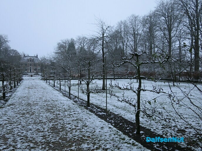 Dit was de winter 2021 (tot nu toe) - Foto: Wim