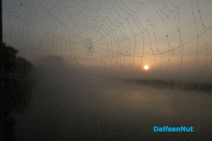 Dalfsen gefotografeerd - Foto: Ingezonden foto