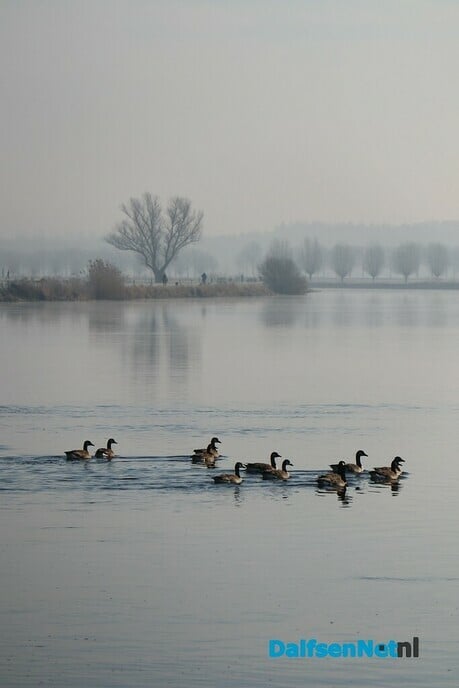 Dalfsen gefotografeerd - Foto: Ingezonden foto