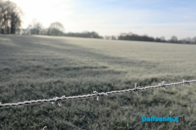 Dalfsen gefotografeerd - Foto: Ingezonden foto