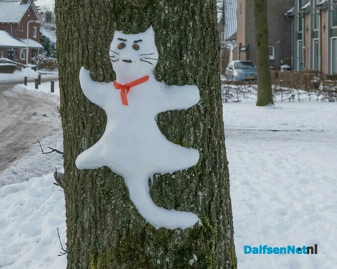 De Siberische sneeuwkat in Dalfsen - Foto: Ingezonden foto