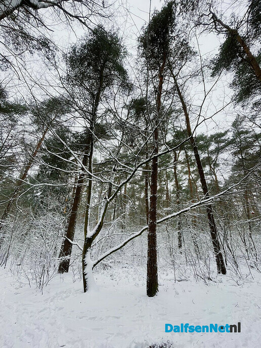 Sneeuw - Foto: Ingezonden foto