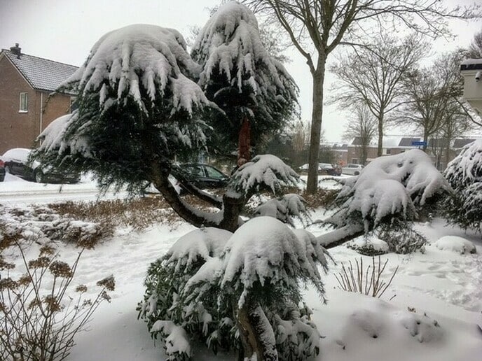 Foto’s van deze prachtige winterdag