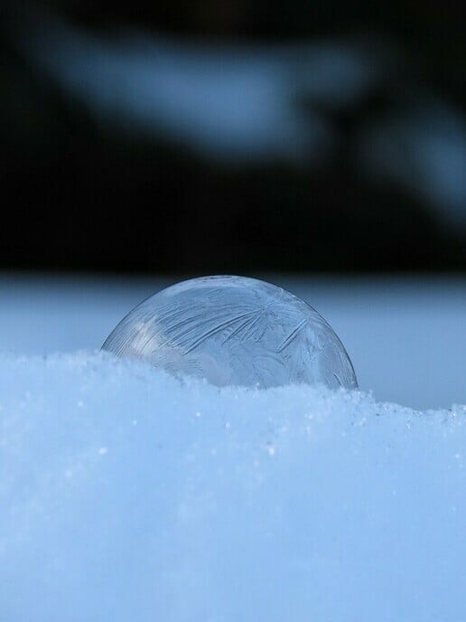 Bellen blazen in de vorst - Foto: Ingezonden foto