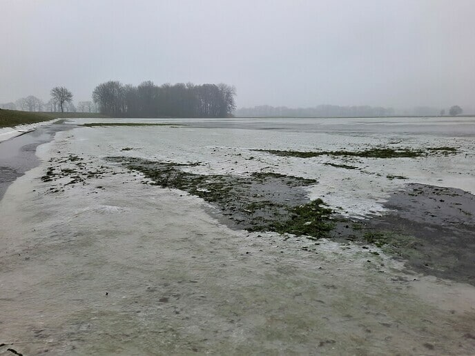 Hobbeldebobbel ies - Foto: Gruune Jopie