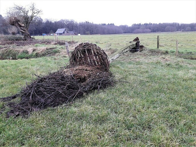 Ooievaarsnest Zwarteweg Hoonhorst ingestort - Foto: Ingezonden foto