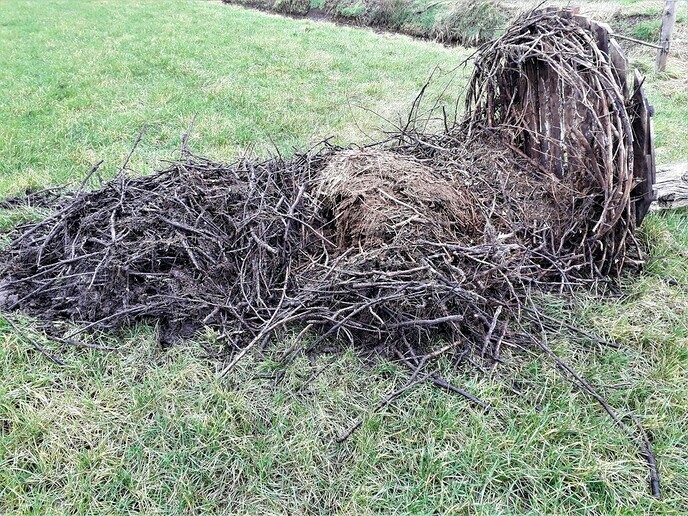 Ooievaarsnest Zwarteweg Hoonhorst ingestort - Foto: Ingezonden foto
