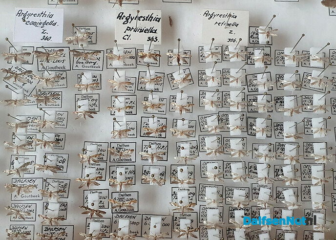 Vlindercollectie Ab Goutbeek naar Naturalis - Foto: Ingezonden foto