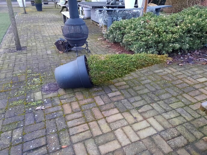 Snee en kolde - Foto: Gruune Jopie