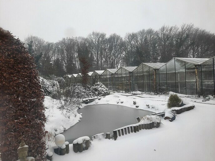 Ingezonden winterse sfeerplaatjes