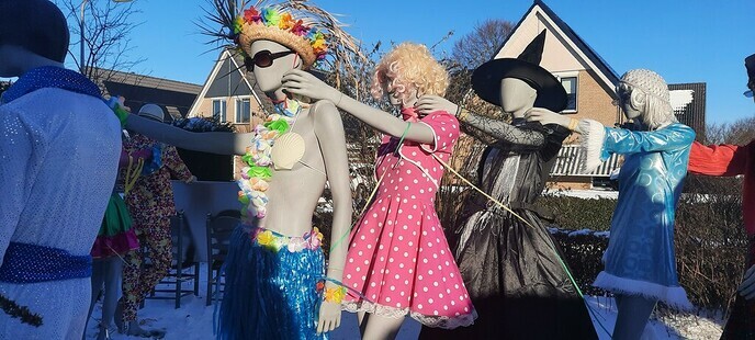 Polonaise in Lemelerveld - Foto: Ingezonden foto