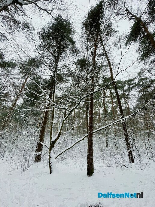 Sneeuw - Foto: Ingezonden foto