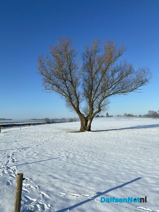 Foto - Foto: Ingezonden foto