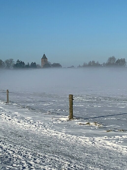 Veel ingezonden foto’s - Foto: Ingezonden foto
