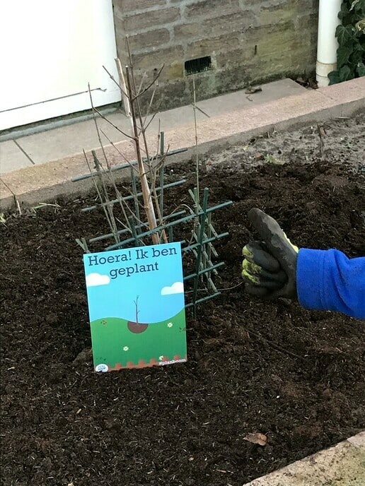 Boompjes voor beginners - Foto: Ingezonden foto