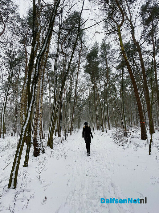 Sneeuw - Foto: Ingezonden foto