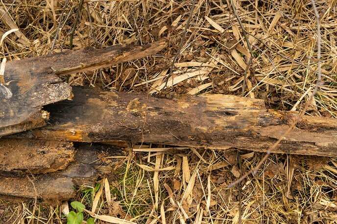 Groot onderhoud houten bruggetje Bellingeweer - Foto: Paul Scholten