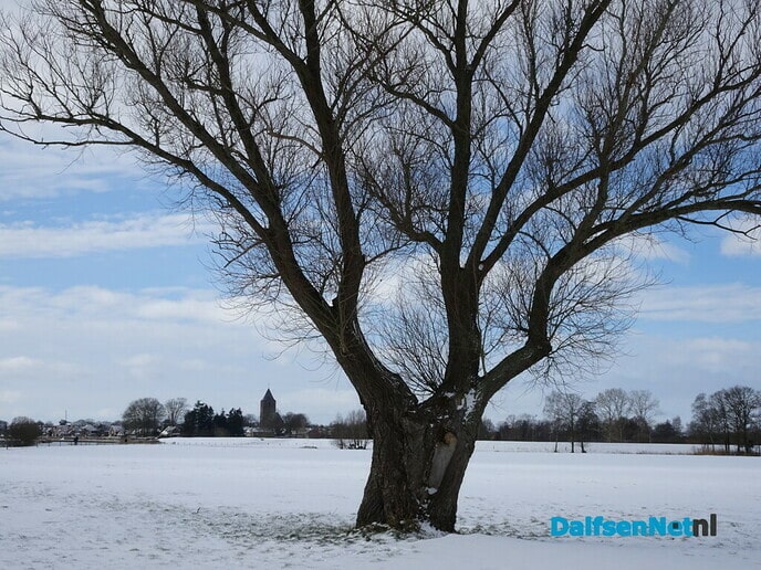 Rond de ijsbaan Stokvisdennen - Foto: Ingezonden foto