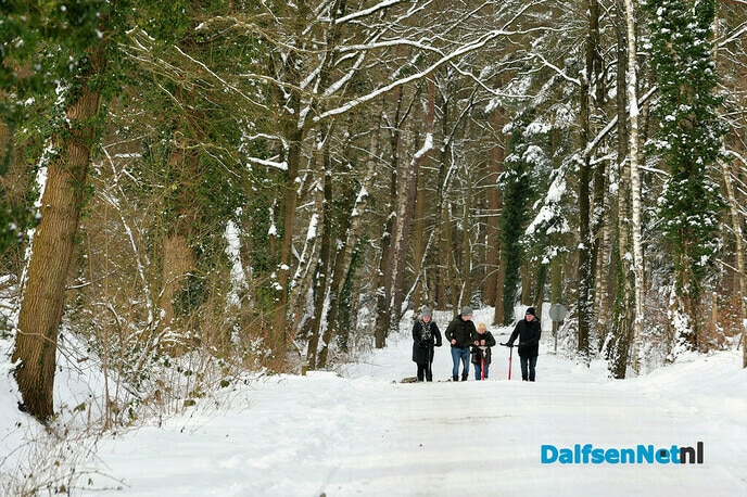 Met Siberische husky’s op de stepslee door het Sterrebos - Foto: Johan Bokma