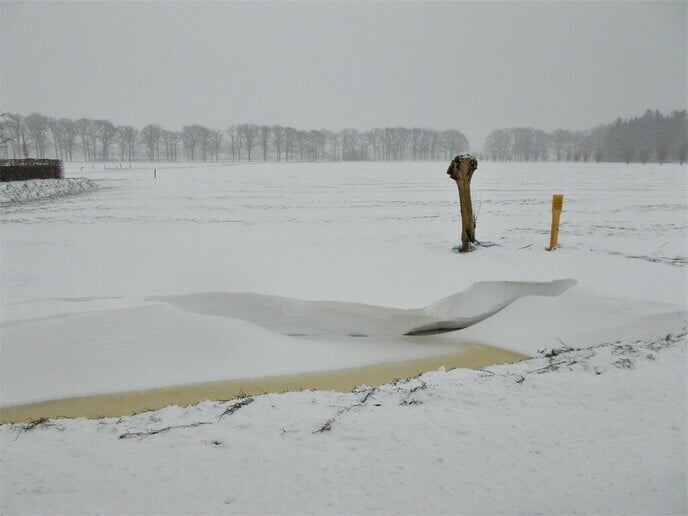 Nog meer sneeuwfoto’s ingezonden - Foto: Ingezonden foto