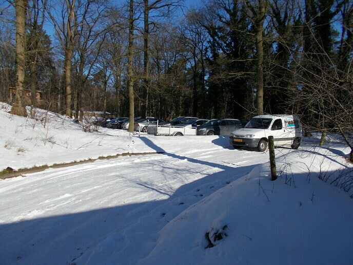 Heel veel gezelligheid in het Sterrebos