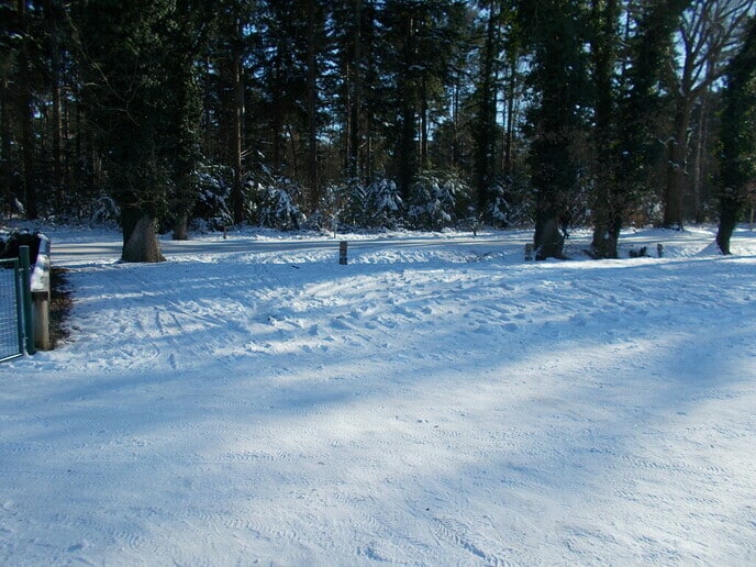 Heel veel gezelligheid in het Sterrebos