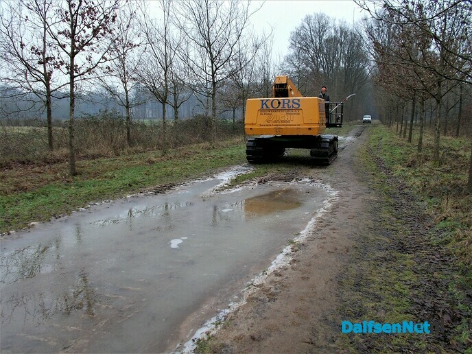 Groot onderhoud bomen landgoed Den Berg