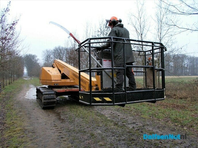 Groot onderhoud bomen landgoed Den Berg