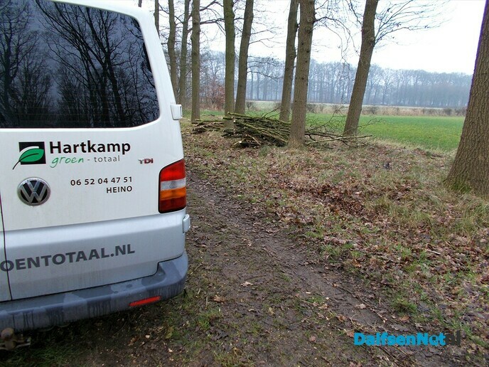 Groot onderhoud bomen landgoed Den Berg