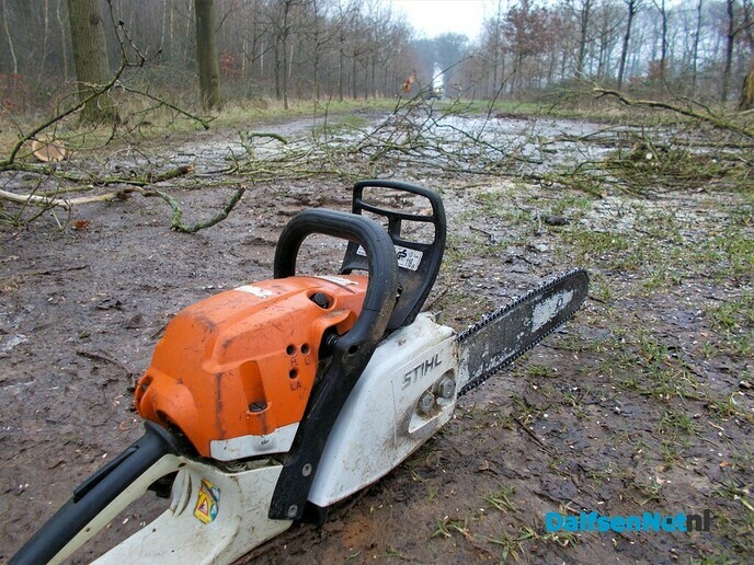 Groot onderhoud bomen landgoed Den Berg