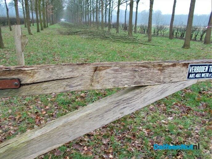 Groot onderhoud bomen landgoed Den Berg