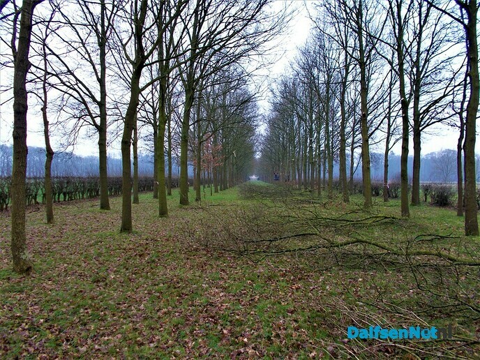 Groot onderhoud bomen landgoed Den Berg
