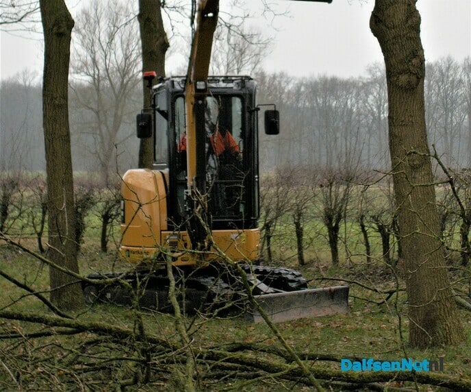 Groot onderhoud bomen landgoed Den Berg