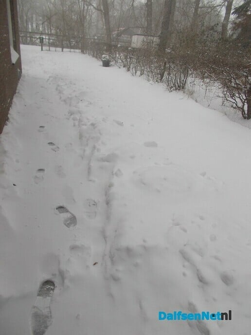 Ongekend veel sneeuw in het Sterrebos, heel veel