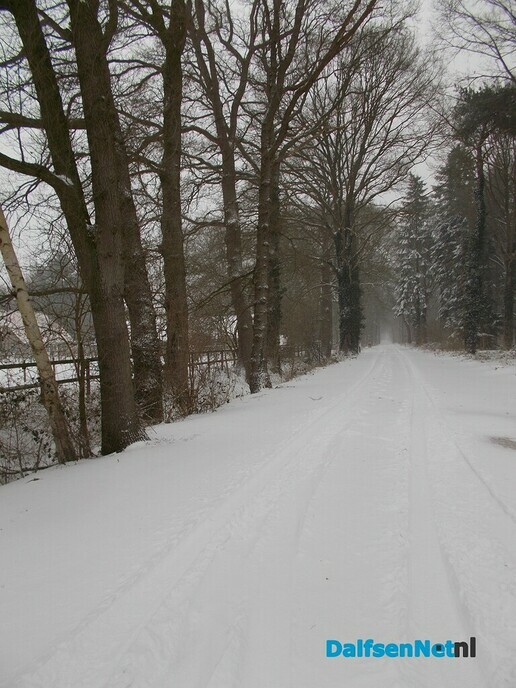 Ongekend veel sneeuw in het Sterrebos, heel veel