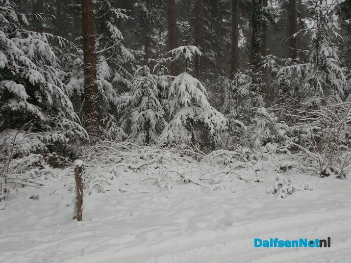 Wintersportplaatjes vanuit Dalfsen