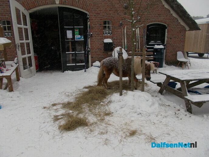 Wintersportplaatjes vanuit Dalfsen