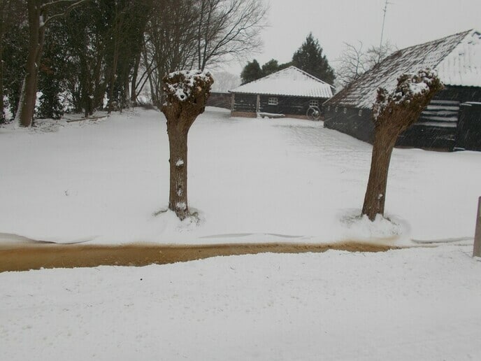 Nog meer sneeuwfoto’s ingezonden - Foto: Ingezonden foto